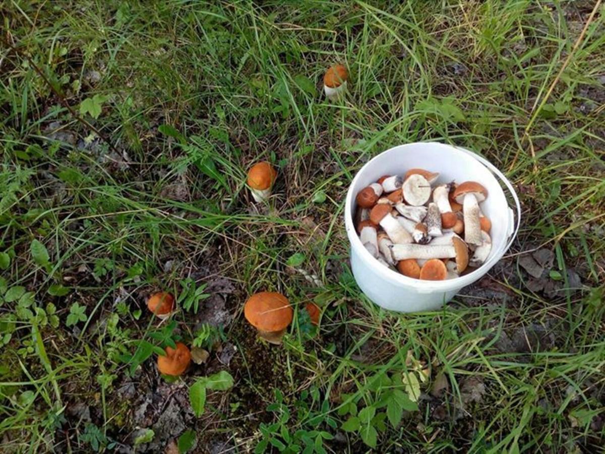 Agroturystyka A&G Dubeninki Экстерьер фото
